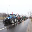 zdjęcie nr 20