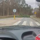 zdjęcie nr 9