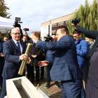 zdjęcie nr 17
