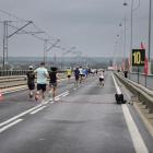 zdjęcie nr 42