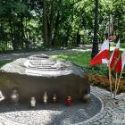 zdjęcie nr 33