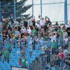 zdjęcie nr 19