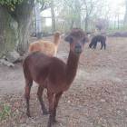 zdjęcie nr 12