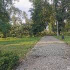 Fotka nr 2 z 16