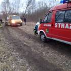 Fotka nr 5 z 7