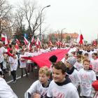 zdjęcie nr 42