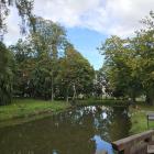 zdjęcie nr 33