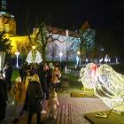 zdjęcie nr 46