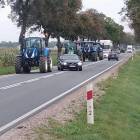 zdjęcie nr 4