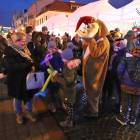 zdjęcie nr 15