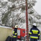 Fotka nr 3 z 13