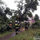 zdjęcie nr 13