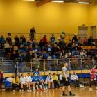 zdjęcie nr 17