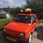 zdjęcie nr 13
