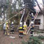 zdjęcie nr 38
