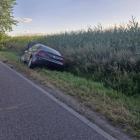 zdjęcie nr 1