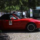zdjęcie nr 13