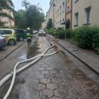 zdjęcie nr 31