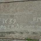 Fotka nr 4 z 9