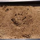zdjęcie nr 61