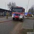 Fotka nr 1 z 3