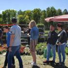 zdjęcie nr 13