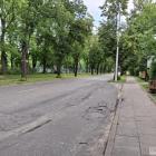 zdjęcie nr 10