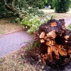 burza_plock1
