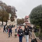 zdjęcie nr 18
