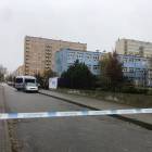 Fotka nr 5 z 9