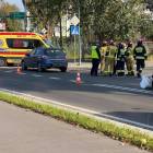 Fotka nr 1 z 4