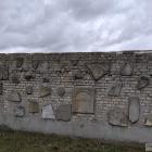 Fotka nr 5 z 8