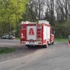 Fotka nr 3 z 12