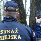 fotopulapki