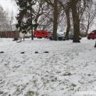 Fotka nr 5 z 8