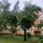 zdjęcie nr 17