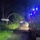 Fotka nr 4 z 12