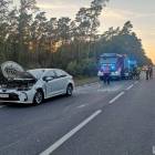 Fotka nr 1 z 4