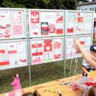 zdjęcie nr 15