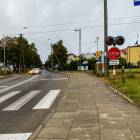 Fotka nr 5 z 8