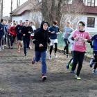 zdjęcie nr 15