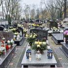 zdjęcie nr 32