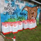zdjęcie nr 25