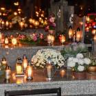 zdjęcie nr 14
