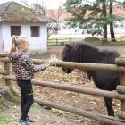 zdjęcie nr 10