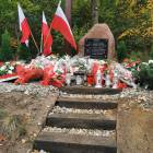 zdjęcie nr 49