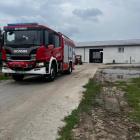 Fotka nr 2 z 6