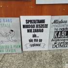 zdjęcie nr 19
