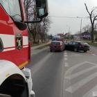 Fotka nr 1 z 5