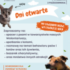 Fotka nr 5 z 6